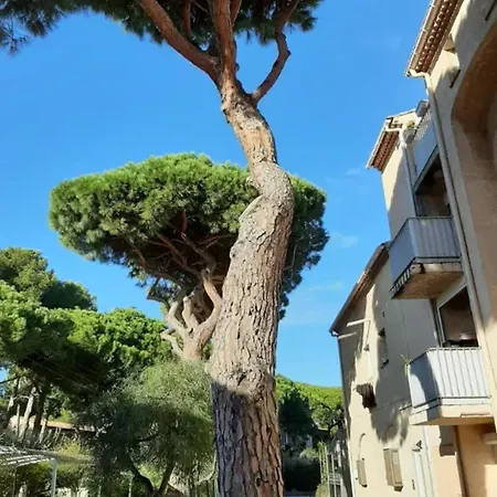 Appartement Appartement Confortable à Proximité de la Mer 45 m²